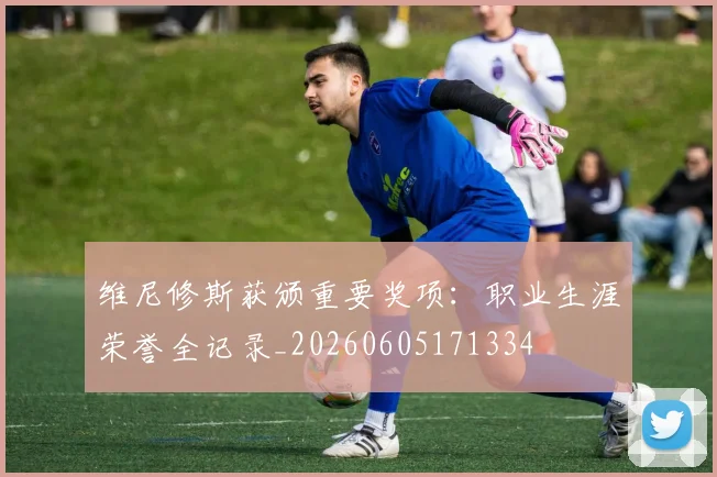 维尼修斯获颁重要奖项:职业生涯荣誉全记录_20260605171334