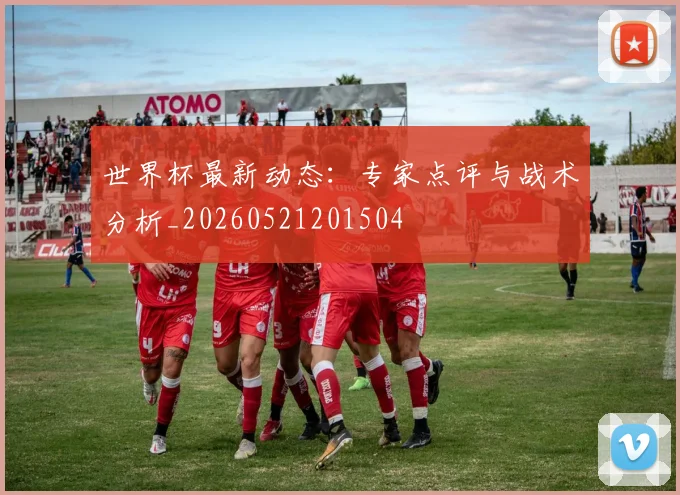 世界杯最新动态:专家点评与战术分析_20260521201504